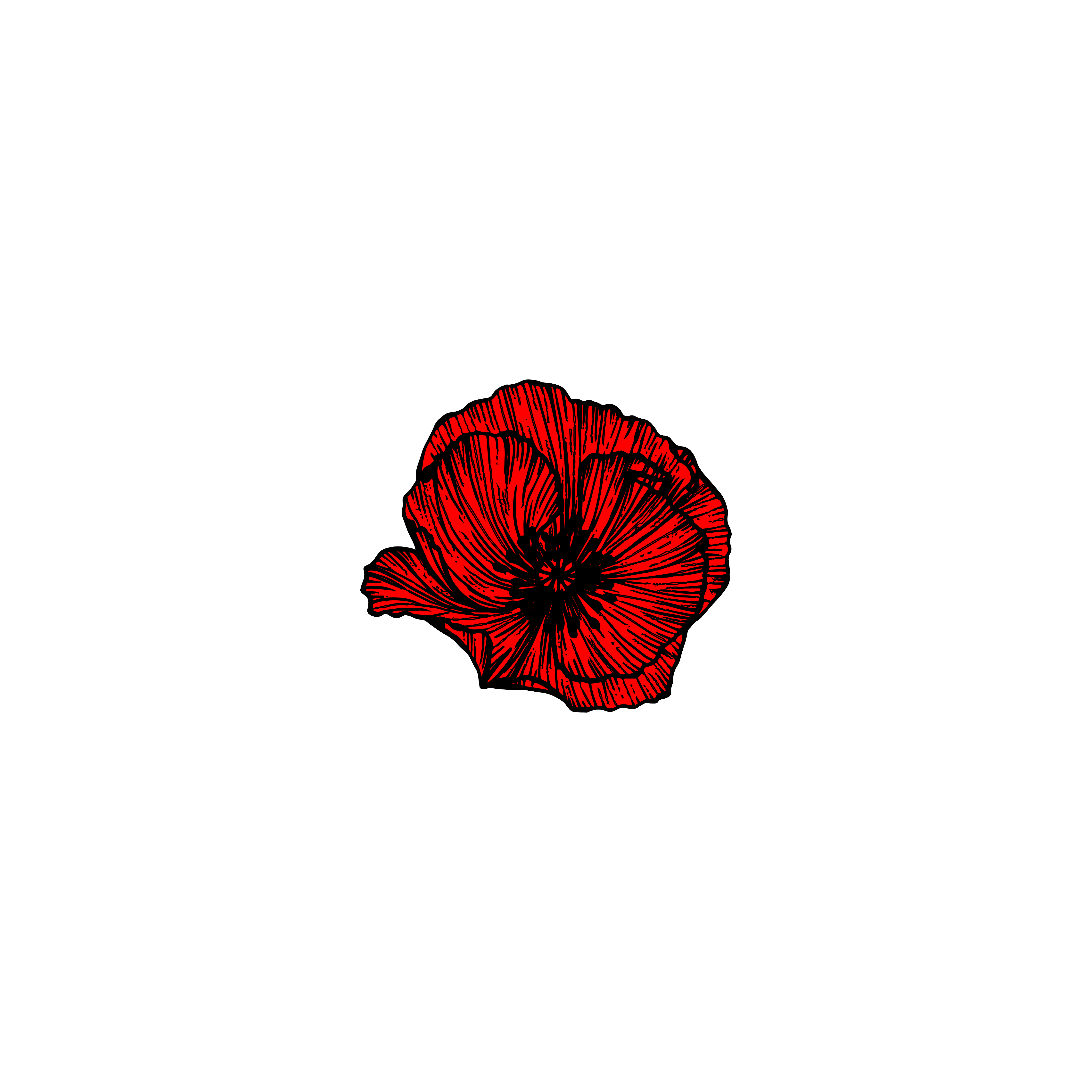 Pro-Palestine Zine Collective